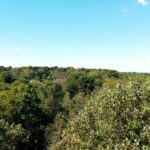 Brown county wilderness near wedding venues.