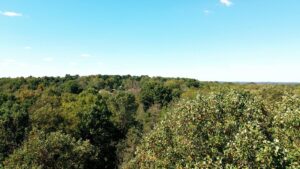 Brown county wilderness near wedding venues.
