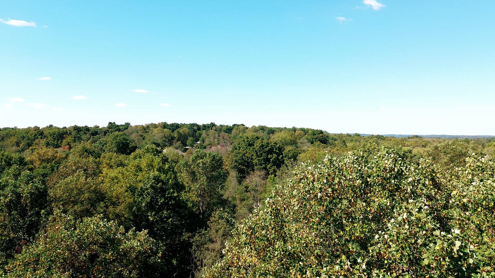 Brown county wilderness near wedding venues.